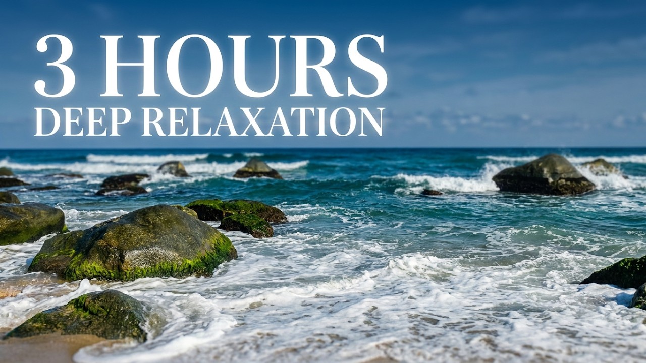 3 Hours of Relaxing Ocean Tide Sounds - 4K