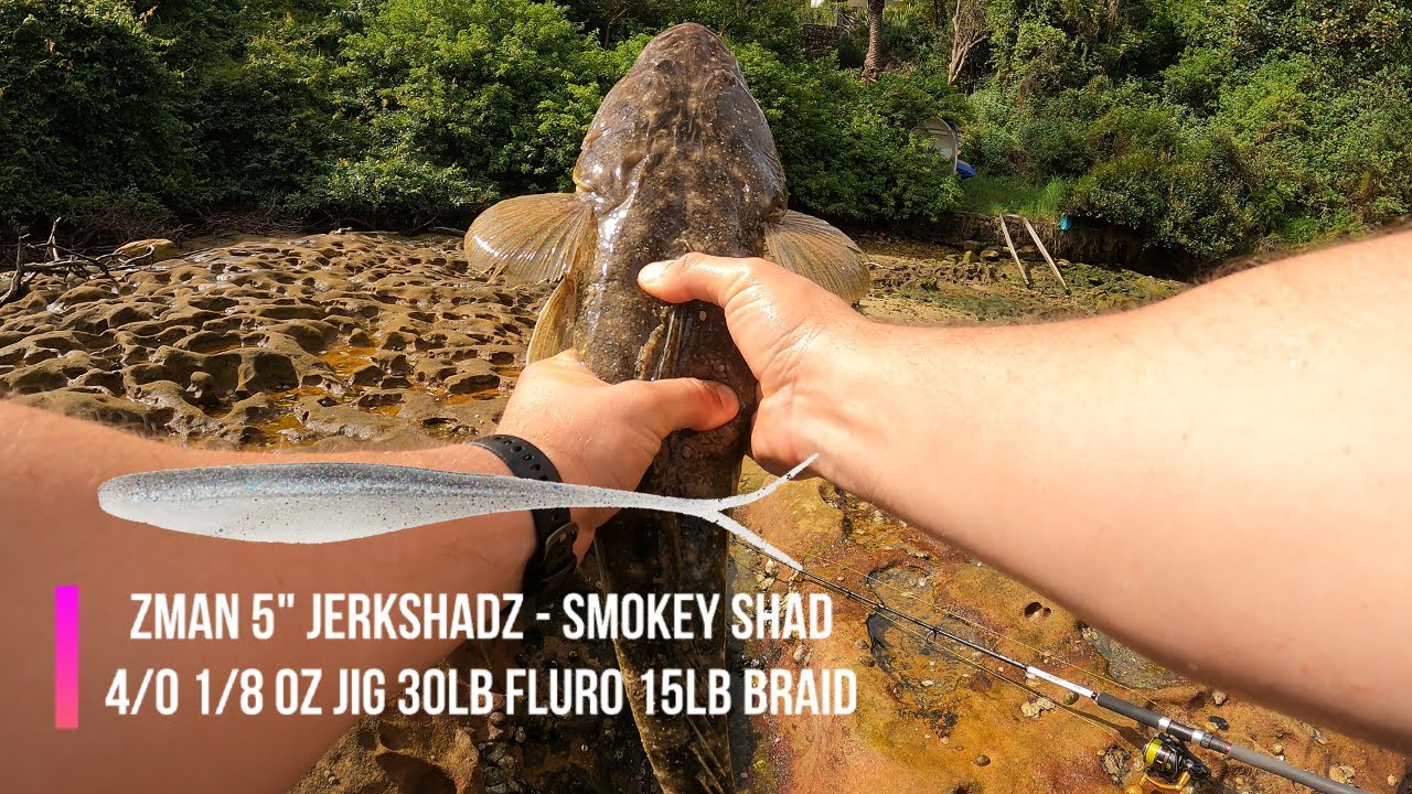 Zman Jerk Shad is a flathead magnet 🧲