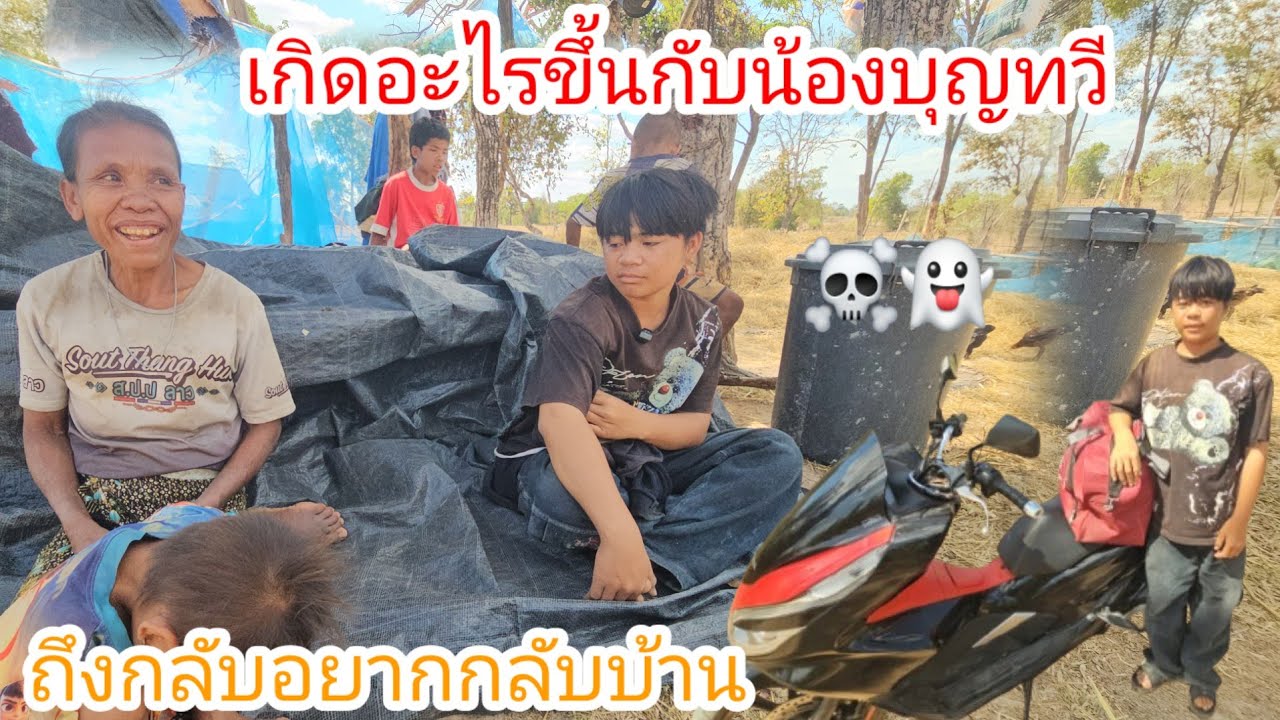 น้องบุญทวีทนไม่ไหวแล้วต้องกลับบ้านด่วนเพราะเมื่อคืนโดนเต็มๆ☠️👻 19 กุมภาพันธ์ ค.ศ. 2026