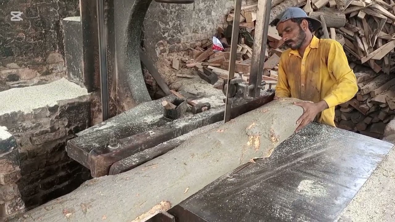 Big wood in Pakistan that sindh