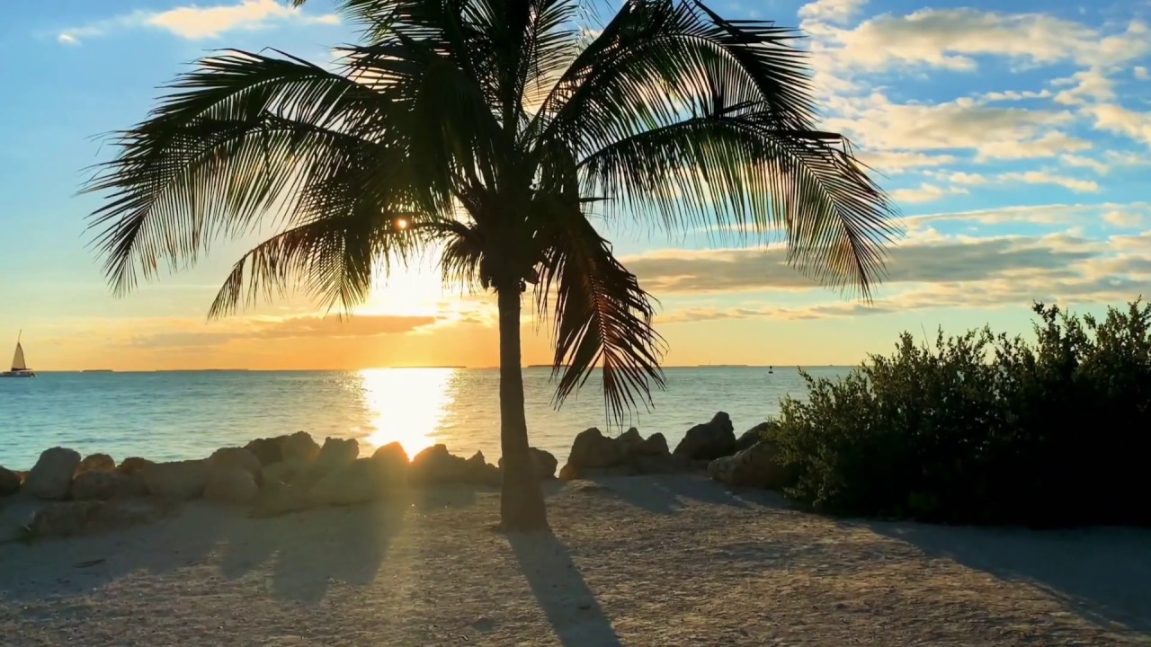 Relaxing pop music with positive vibe video experience, Mood Changing music, feel good music, beats