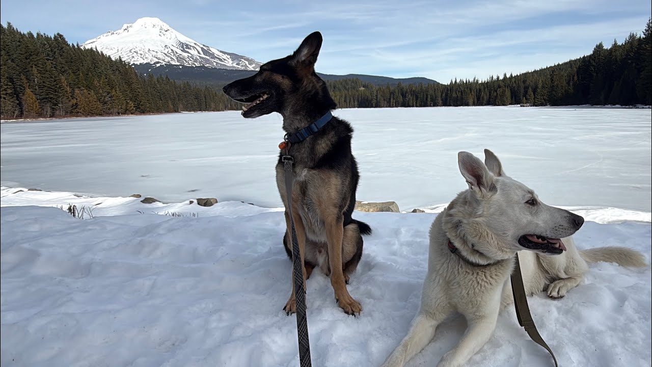 I Try Hiking in the Snow for the First Time 