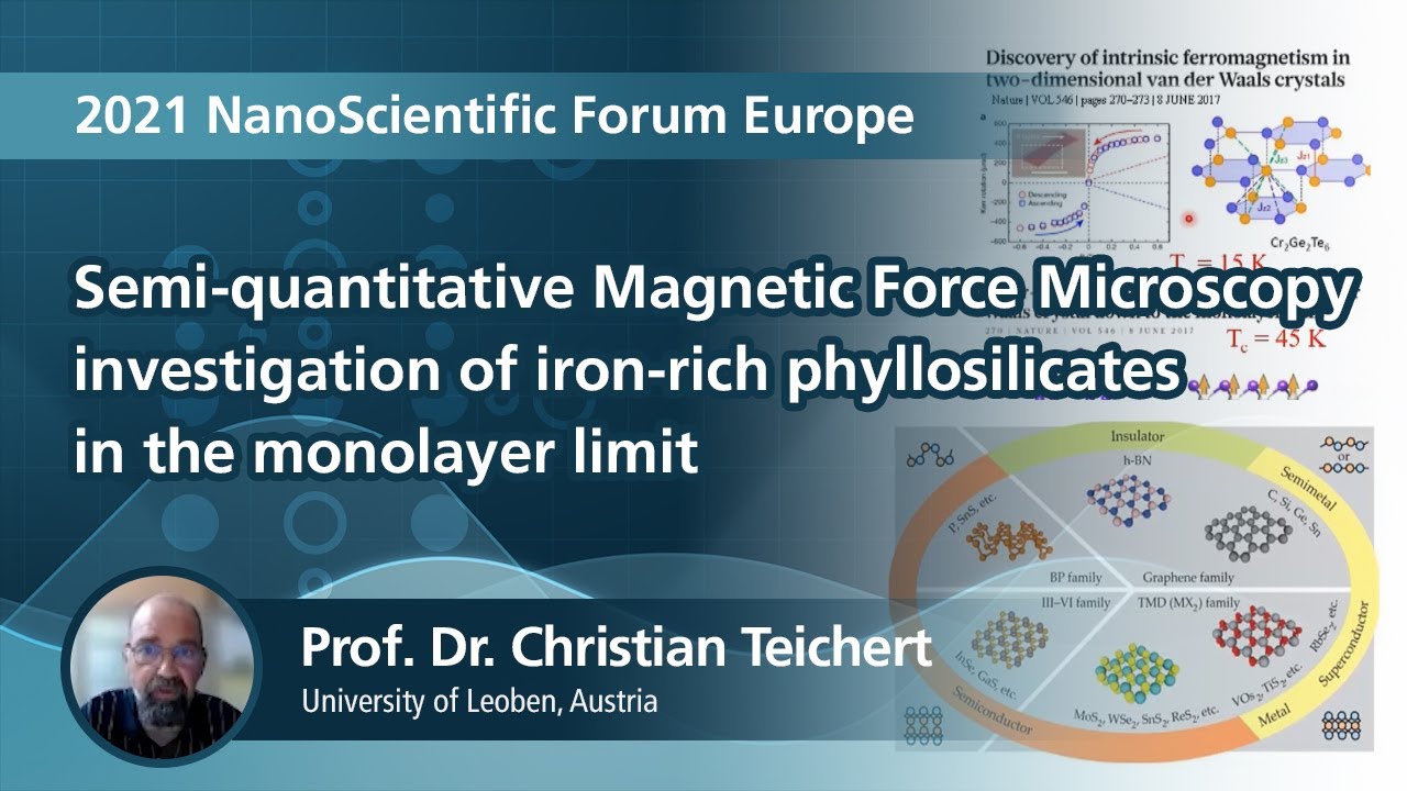 Semi-quantitative Magnetic Force Microscopy investigation of iron-rich (...) | 2021NSFEurope