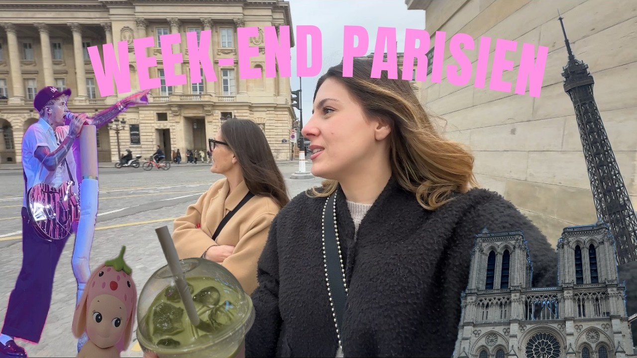 J’AI VU MA STAR PRÉFÉRÉE DU MONDE EN CONCERT !!