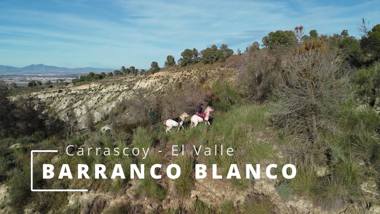 BARRANCO BLANCO, Carrascoy