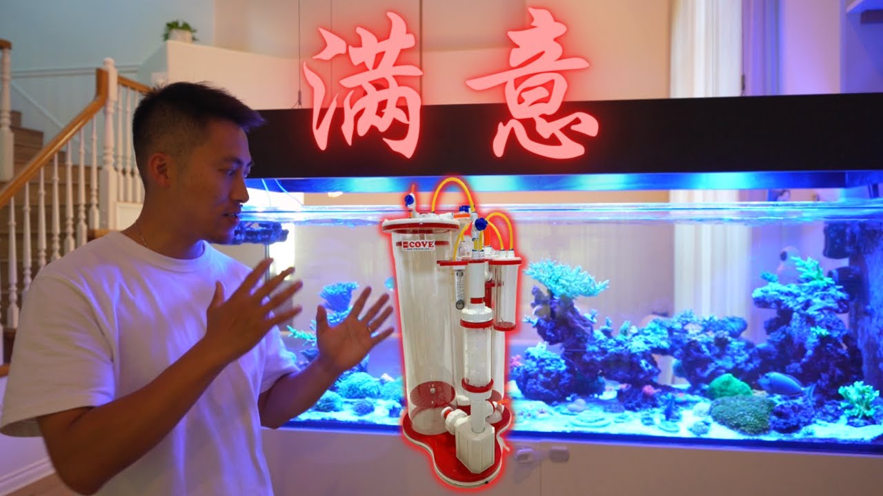 海缸钙反使用两周后感想，这东西比你想象的简单！