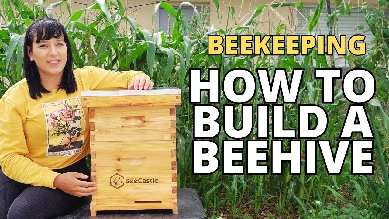 How to Build Your First Langstroth Beehive! BeeCastle Beehive Build & Review #beehive #beekeeping
