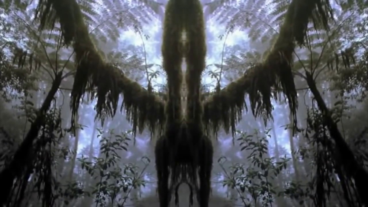 Kilimanjaro - Don't Wait [Sina. Remix] Unofficial Video