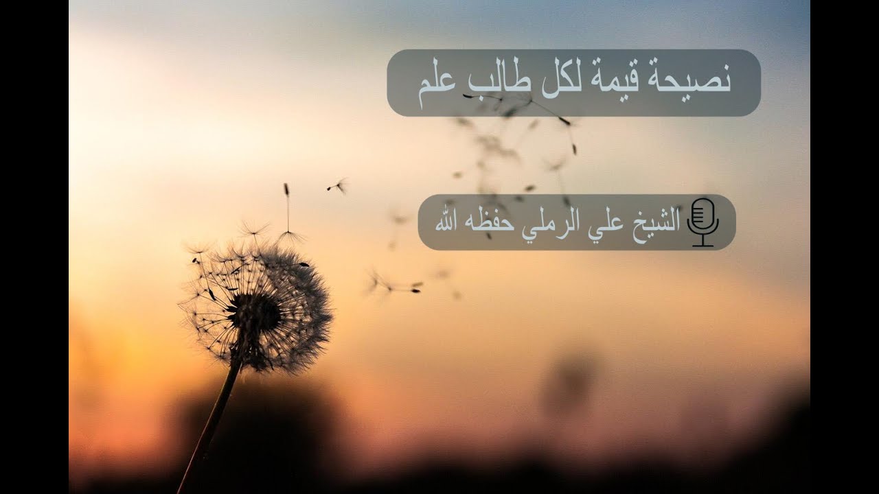 نصيحة من الشيخ أبي الحسن علي الرملي لطلاب العلم