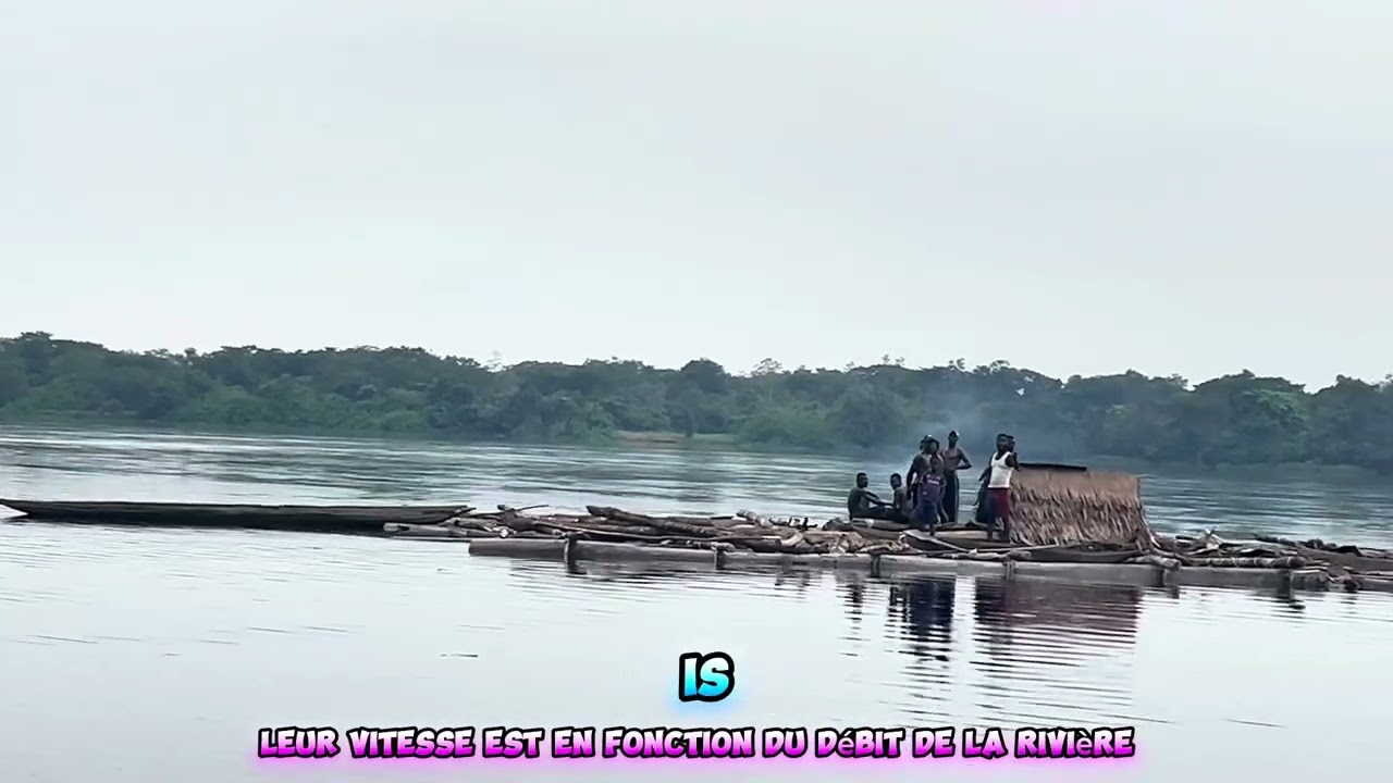Басанкусу или Мбандака