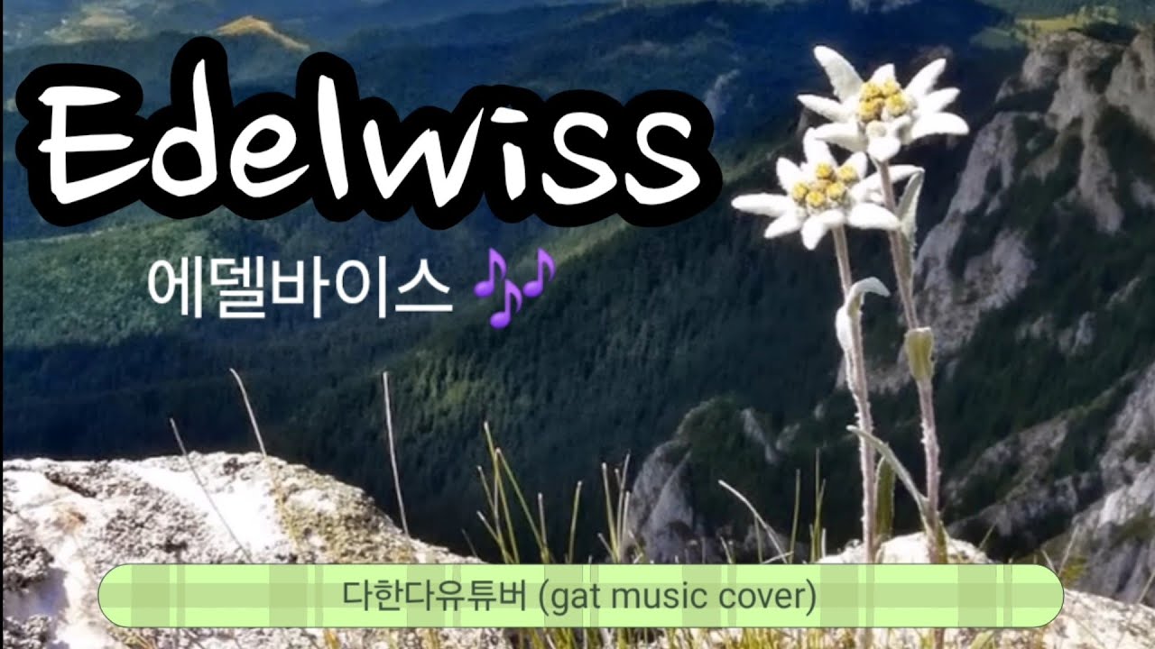 Edelwiss (에델바이스)