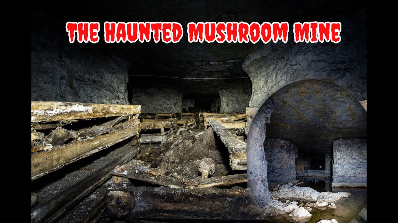 Exploring The HAUNTED Mushroom Mines | Olive Hill KY
