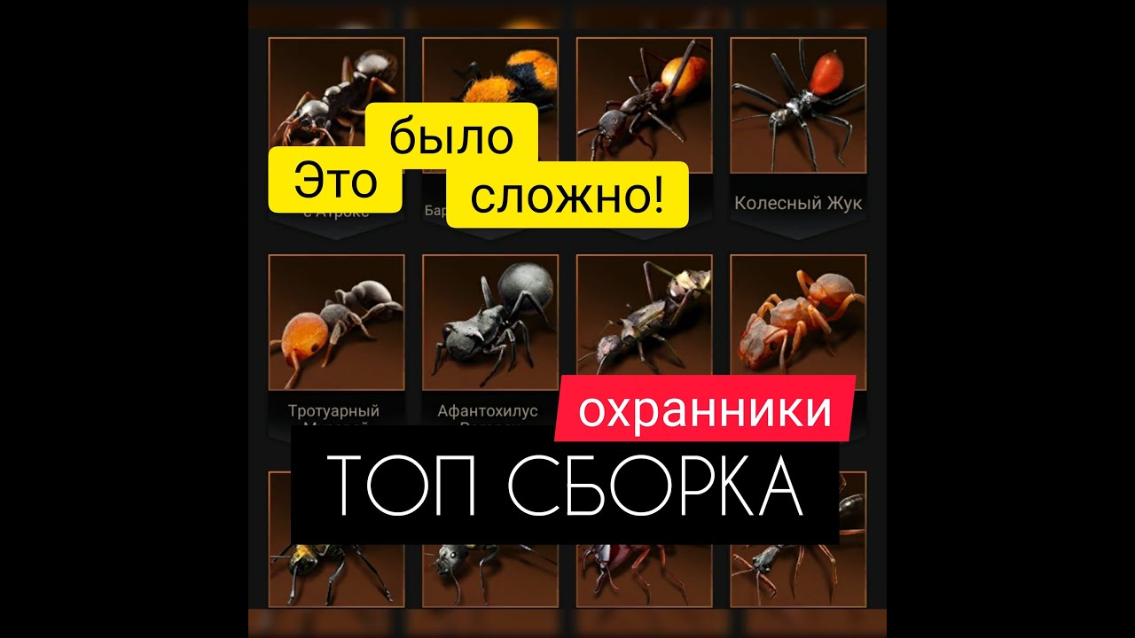 ЛУЧШИЕ СПЕЦы для ОХРАННИКОВ! Мой выбор! The Ants: Underground Kingdom