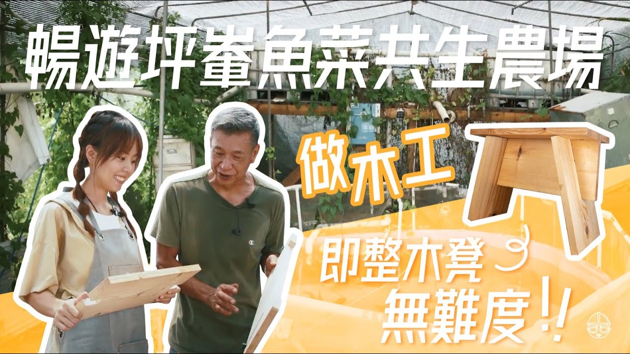 【五金街專題】暢遊坪輋魚菜共生農場！做木工即整木櫈冇難度！