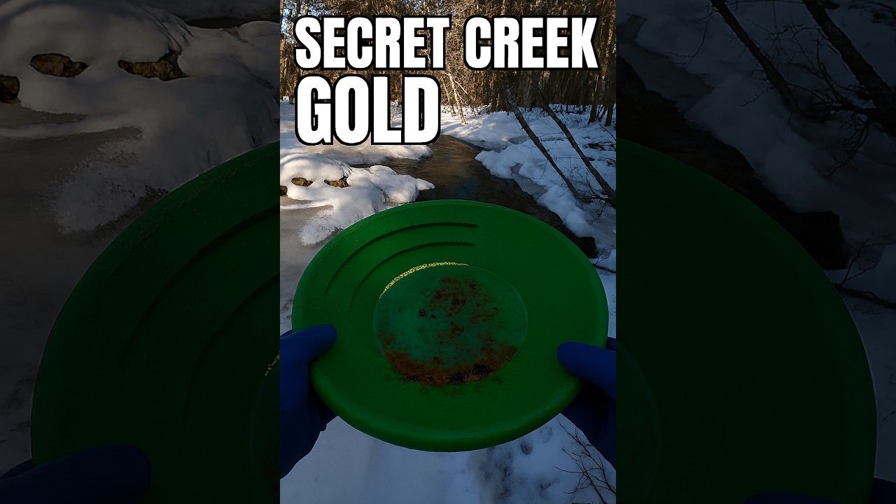 Hunting the Flour Gold Wizard