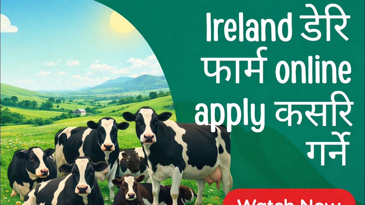 Ireland dairy farm working visa for Nepali | how to apply Ireland dairy farm | Ireland working Visa