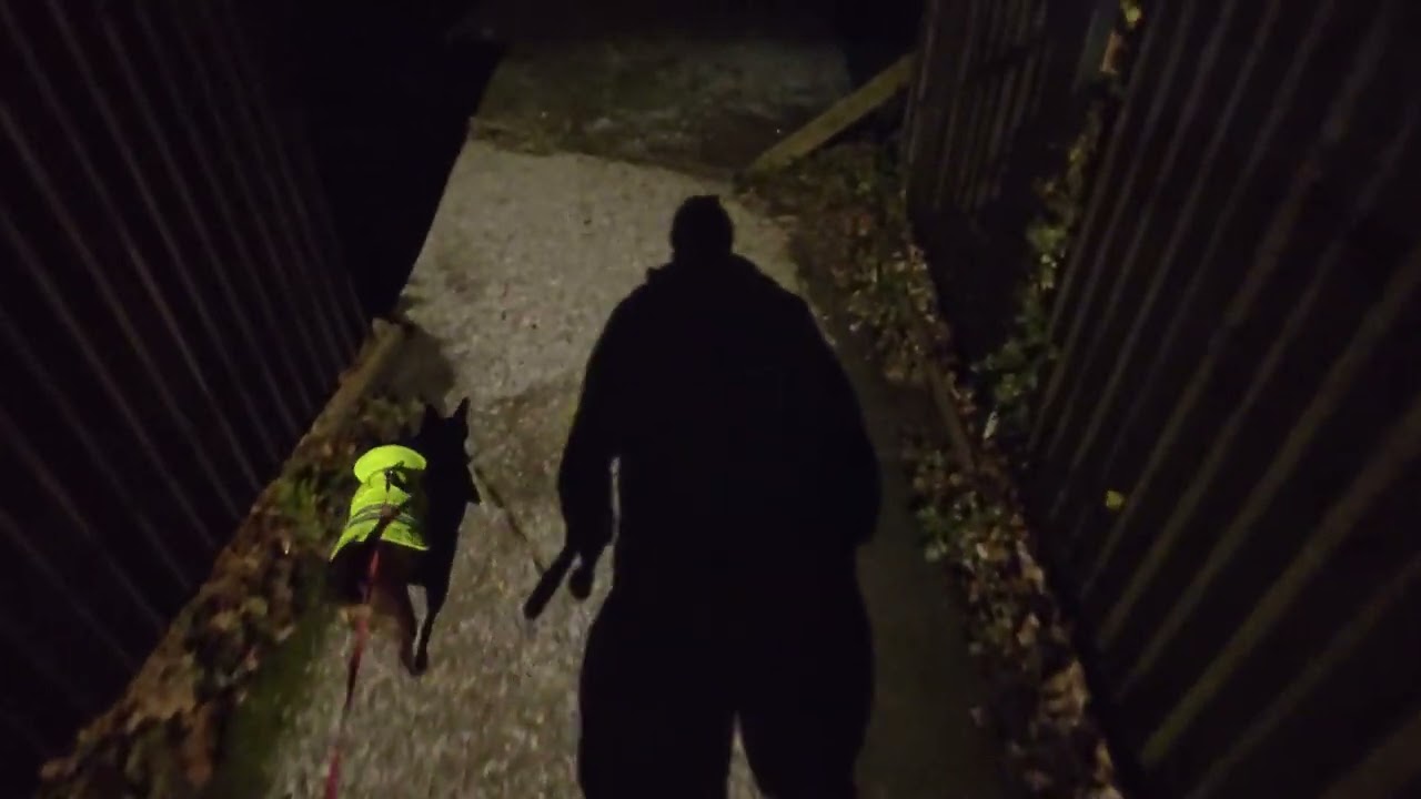 It snowed.. again..   (DOG WALK/POV)