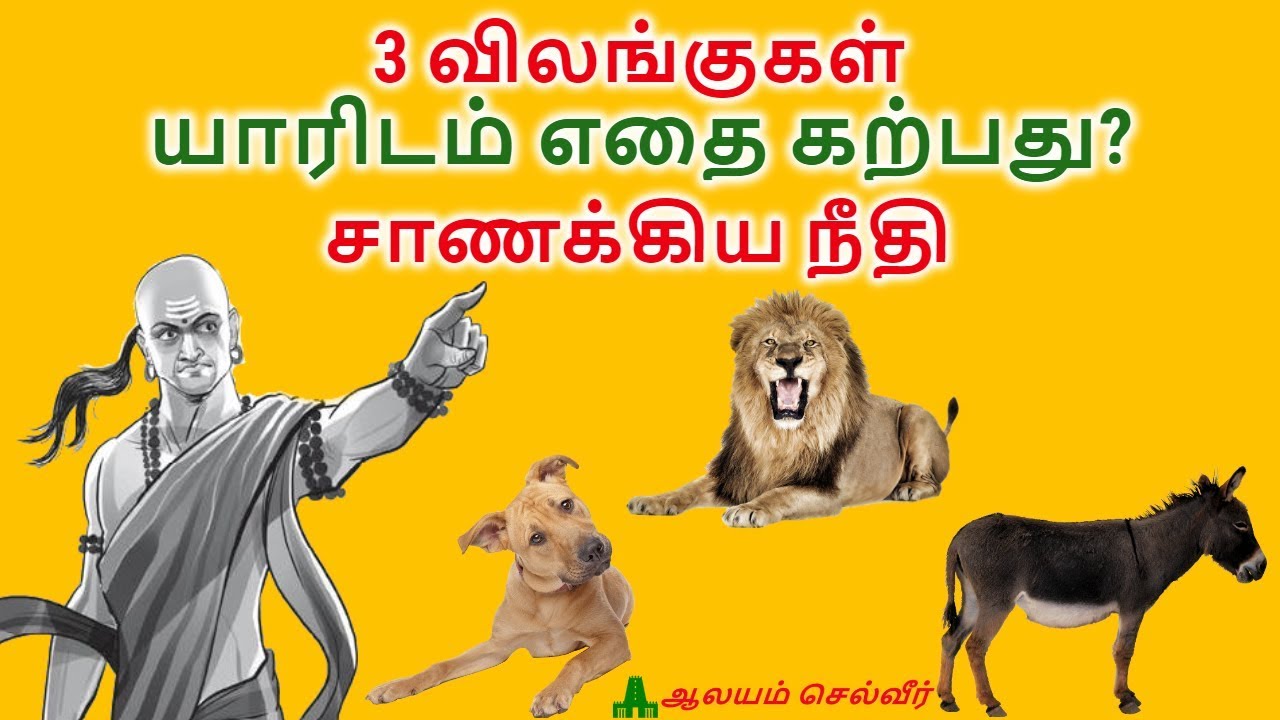 3 விலங்குகள் - யாரிடம் எதை கற்பது? - சாணக்கிய நீதி | Chanakya Neeti Learning From Animals