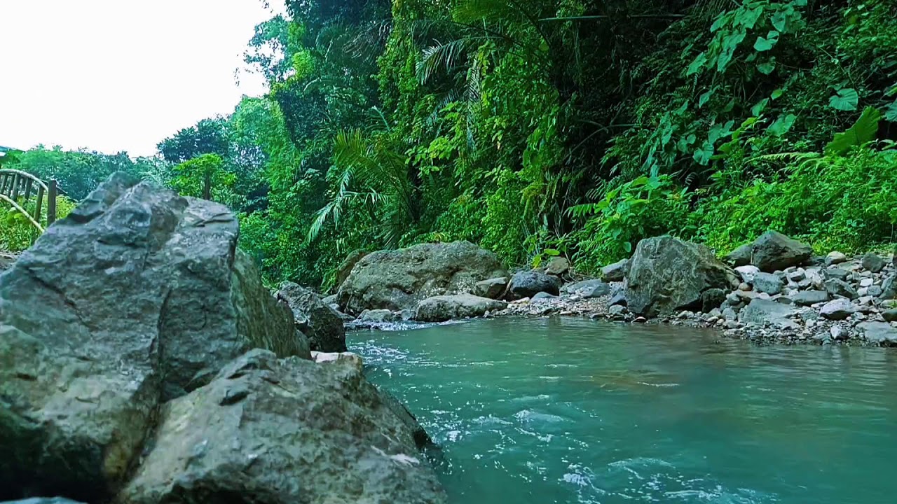 Relaxing Forest River – 11 Hours Water Sounds HD | Stress Relief & Study Background