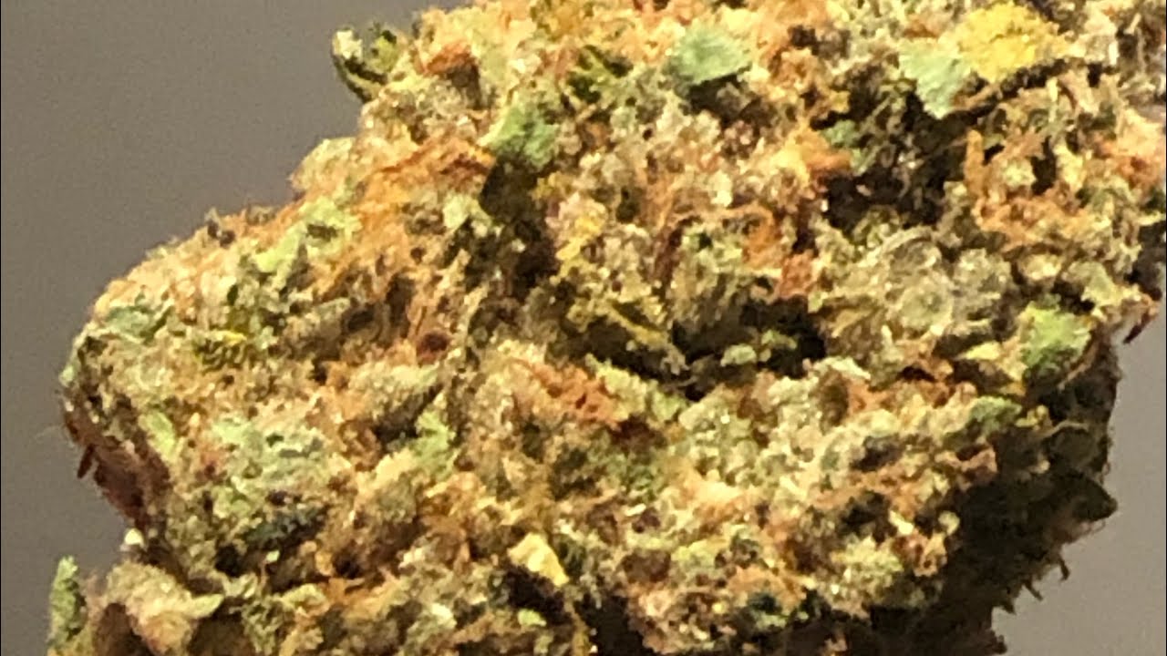 Dosilato strain review