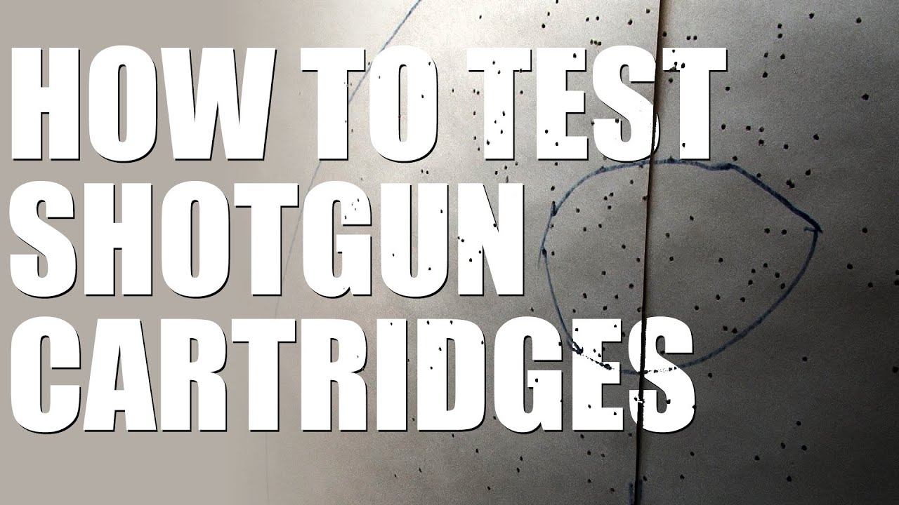 Shotgun cartridge test... your shooting will improve