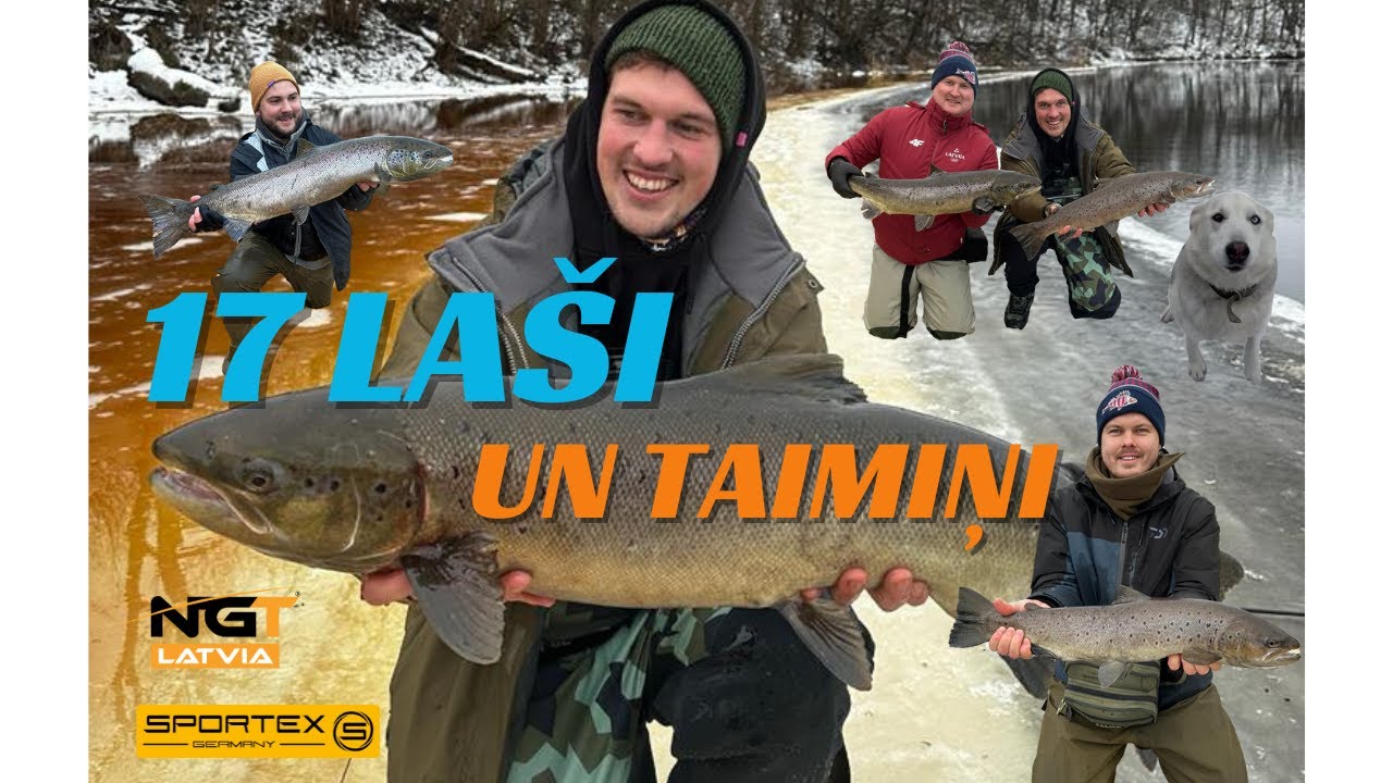 17 LAŠI UN TAIMIŅI Salaca 2024