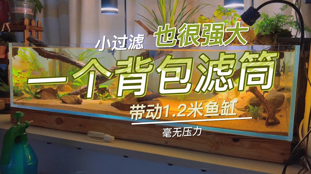 【005】小过滤也有大作用|开缸视频|原生缸开缸|鱼缸造景|鱼缸|生态鱼缸|自己动手做|飘窗开缸