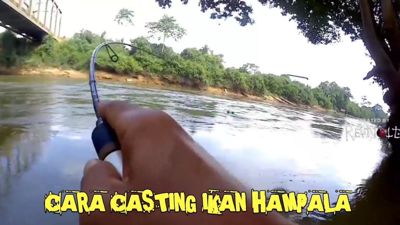 BEGINILAH CARA MEMANCING IKAN HAMPALA || yang biasa saya terapkan saat casting