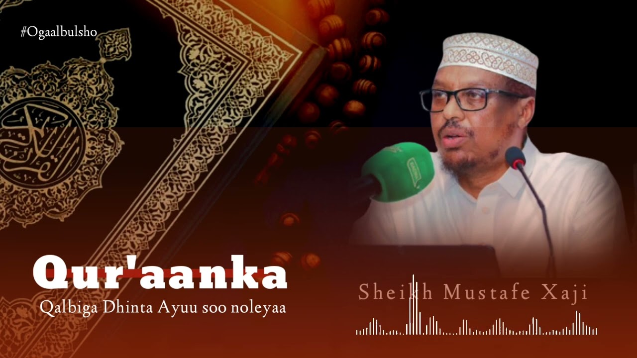 Qu'aanka Qalbiga Dhintay Ayuu Noleeya || Sh Mustafe  @OGAALBULSHO #shmustafe #ramadan #qisooyin
