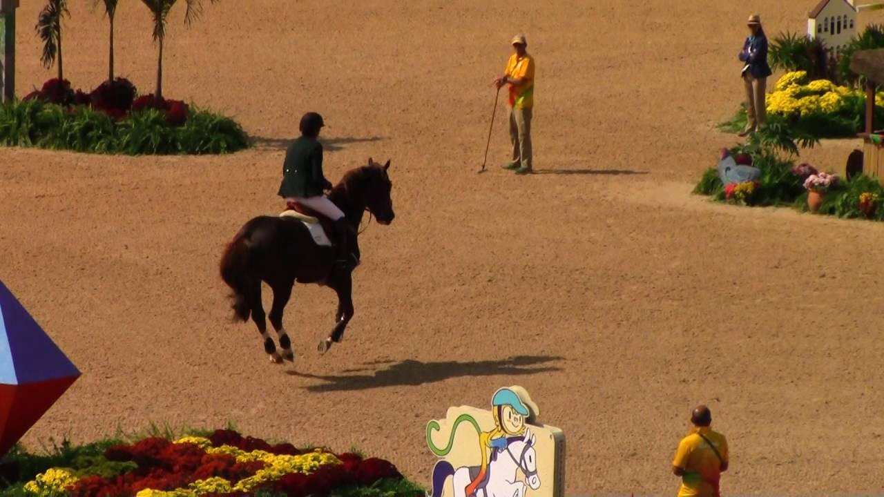 Rio 2016 - Brazil's Pedro Veniss - Individual Final Round B