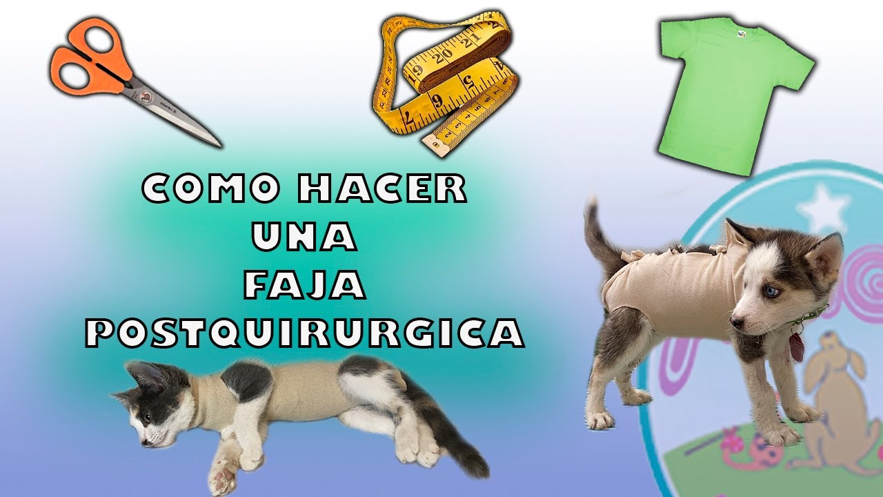 FAJA POSTOPERATORIA ¡hazlo facil!