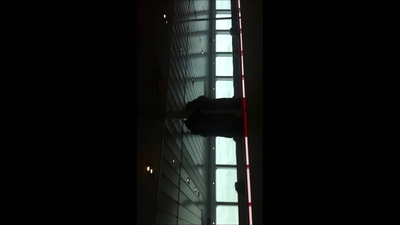 Chaos aan boord van de MS Vlieland