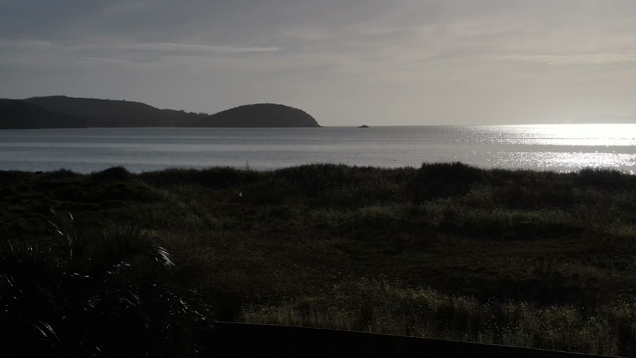 ABSOLUTE Beachfront, Doubtless Bay