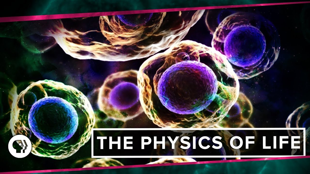 Физика жизни (совместно с It's Okay to be Smart и PBS Eons!) | Space Time