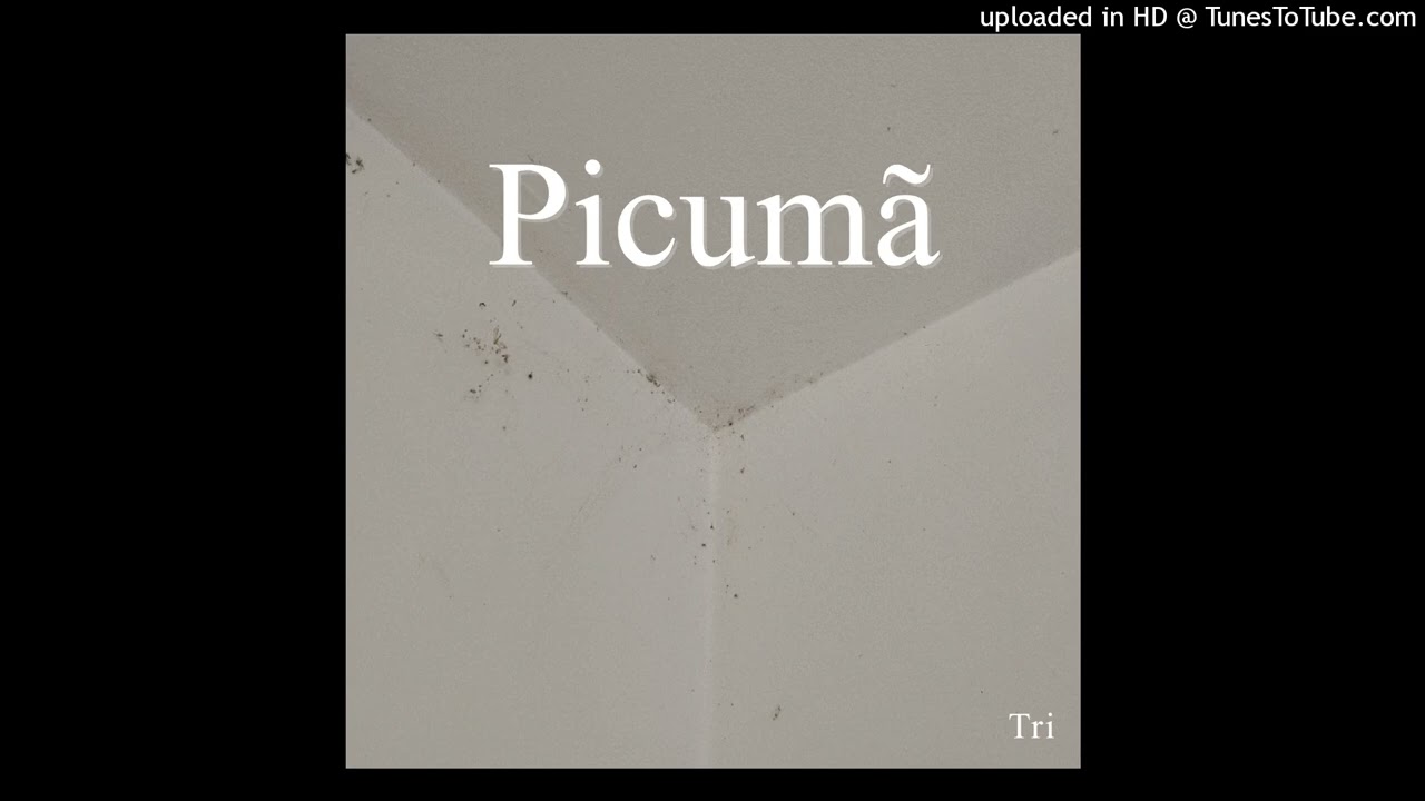 Amen Thompson - Picum&atilde;
