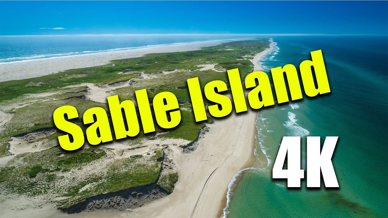 Sable Island As you've never seen before