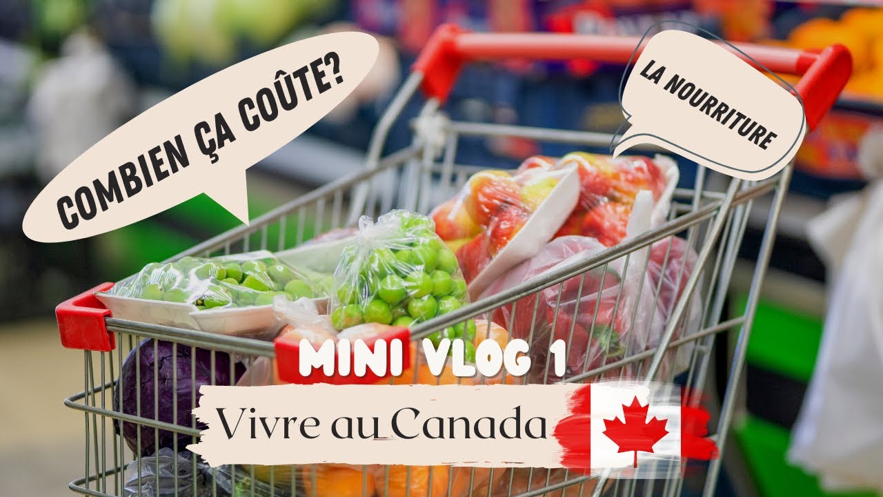 Mini Vlog 1: Vivre au Canada | les prix de la nourriture au Canada