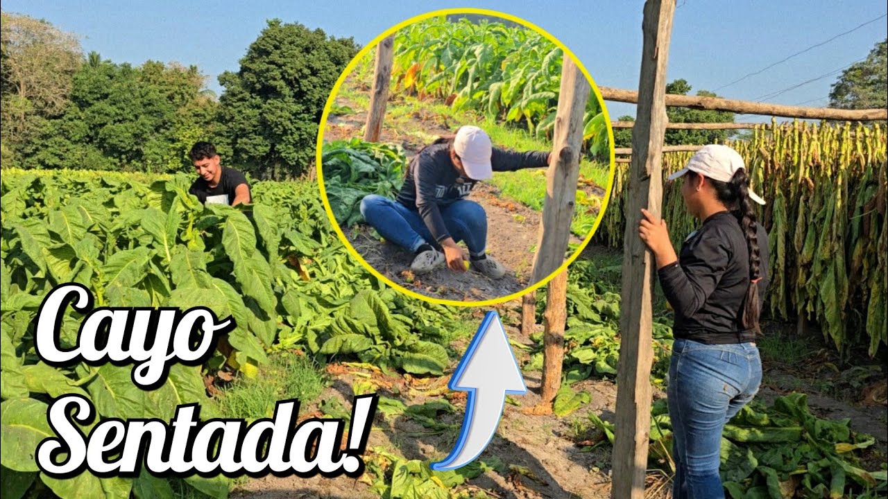 Daniela Por Estar Viendo A Raul Trabajándo Le Paso Esto!😱