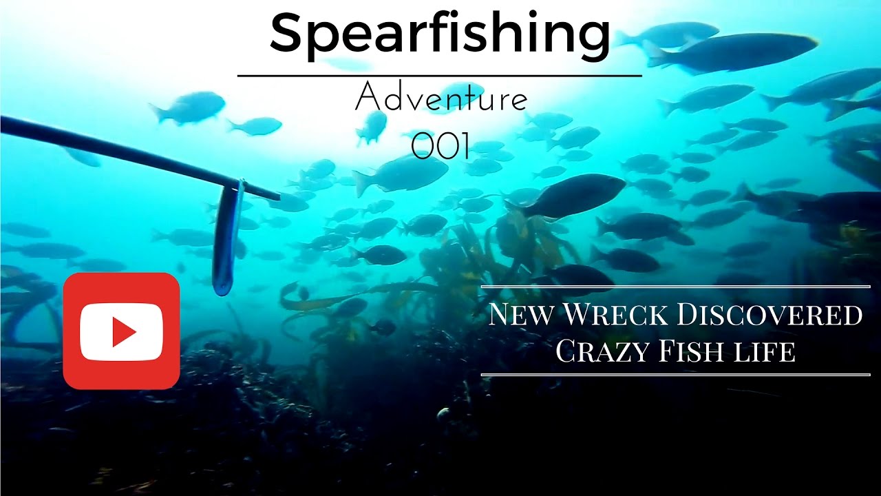 Spearfishing Adventure Robben Island 001