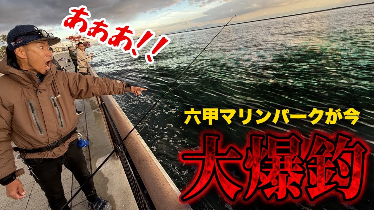 神戸最強の釣り場、六甲マリンパークで釣りまくる方法！最新釣果情報🌟奥が深すぎるサヨリ釣り、この動画を見れば絶対に爆釣します。笑