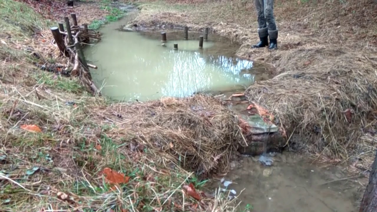 Čištění potoka