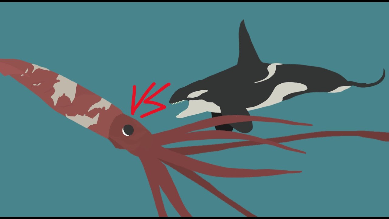 Pivot Animal Battle Arena: Killer Whale vs Giant Squid