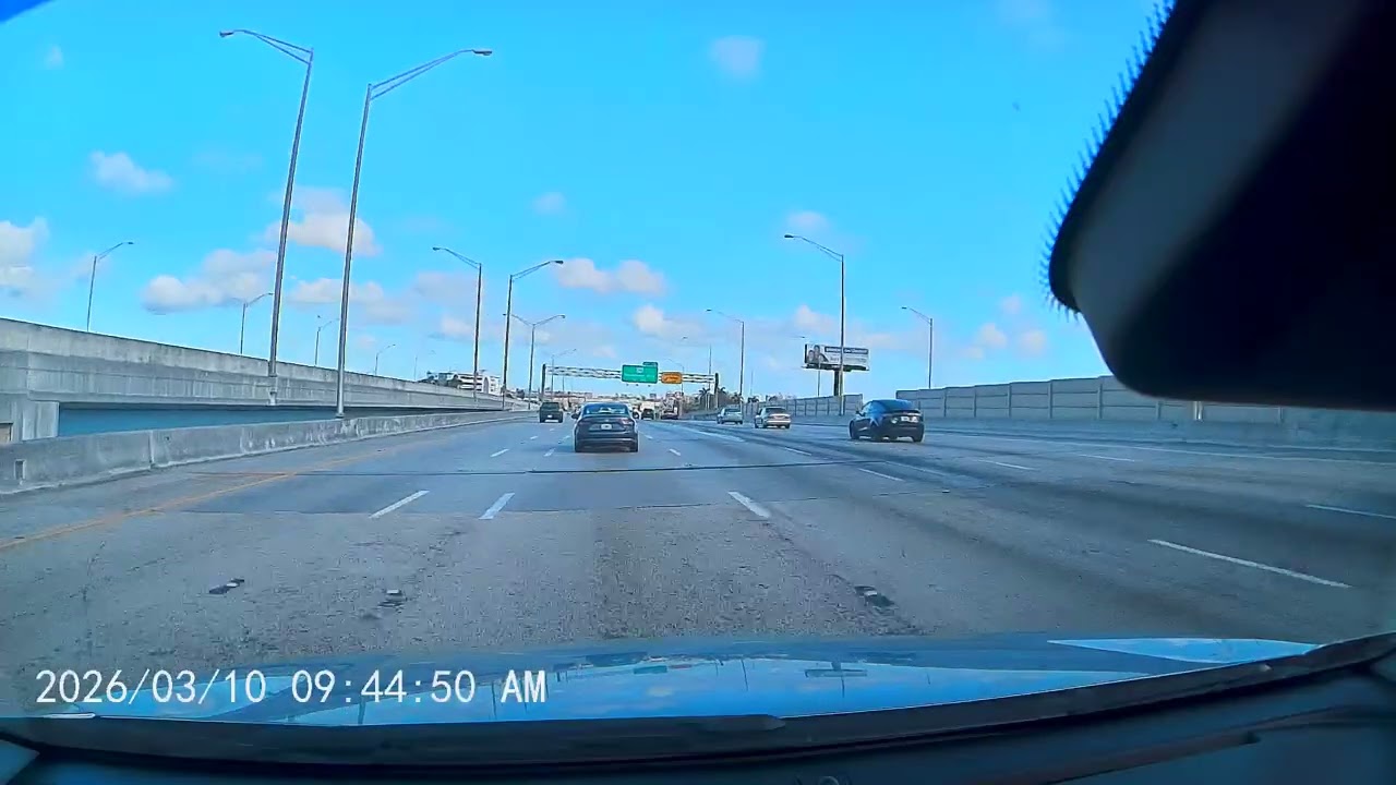 Only in Florida: The Most Unreal Highway Moment Ever Recorded