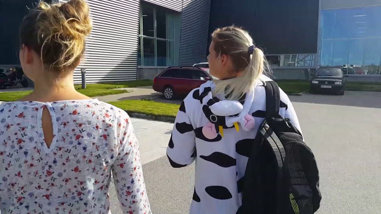 Froya Norway 2017
