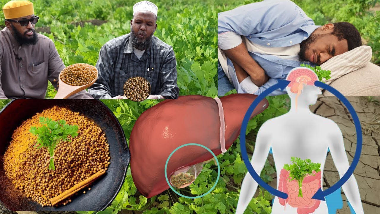 Xawaaji Buurbuur Daawo Mucjiso ah Isaga Dawee Sonkorta, Korostorolka.