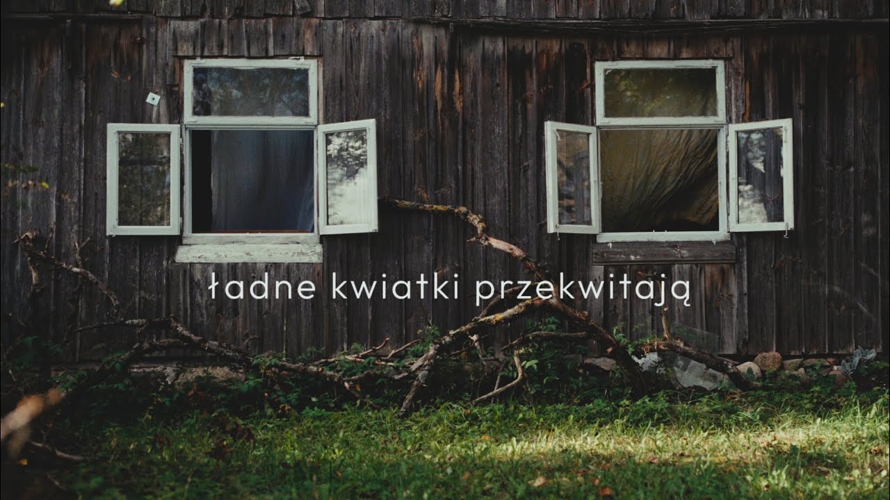 Ładne kwiatki przekwitają - BIELE