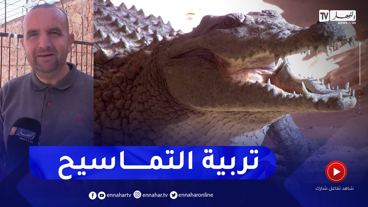 تربية 