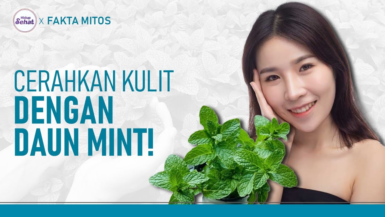 Manfaat Daun Mint Untuk Kesehatan dan Kecantikan | Hidup Sehat tvOne