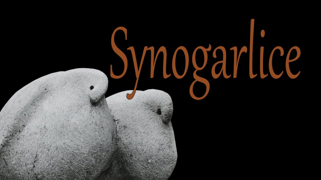 „Synogarlice” – Michał Gałkiewicz  – rzeźbiarz