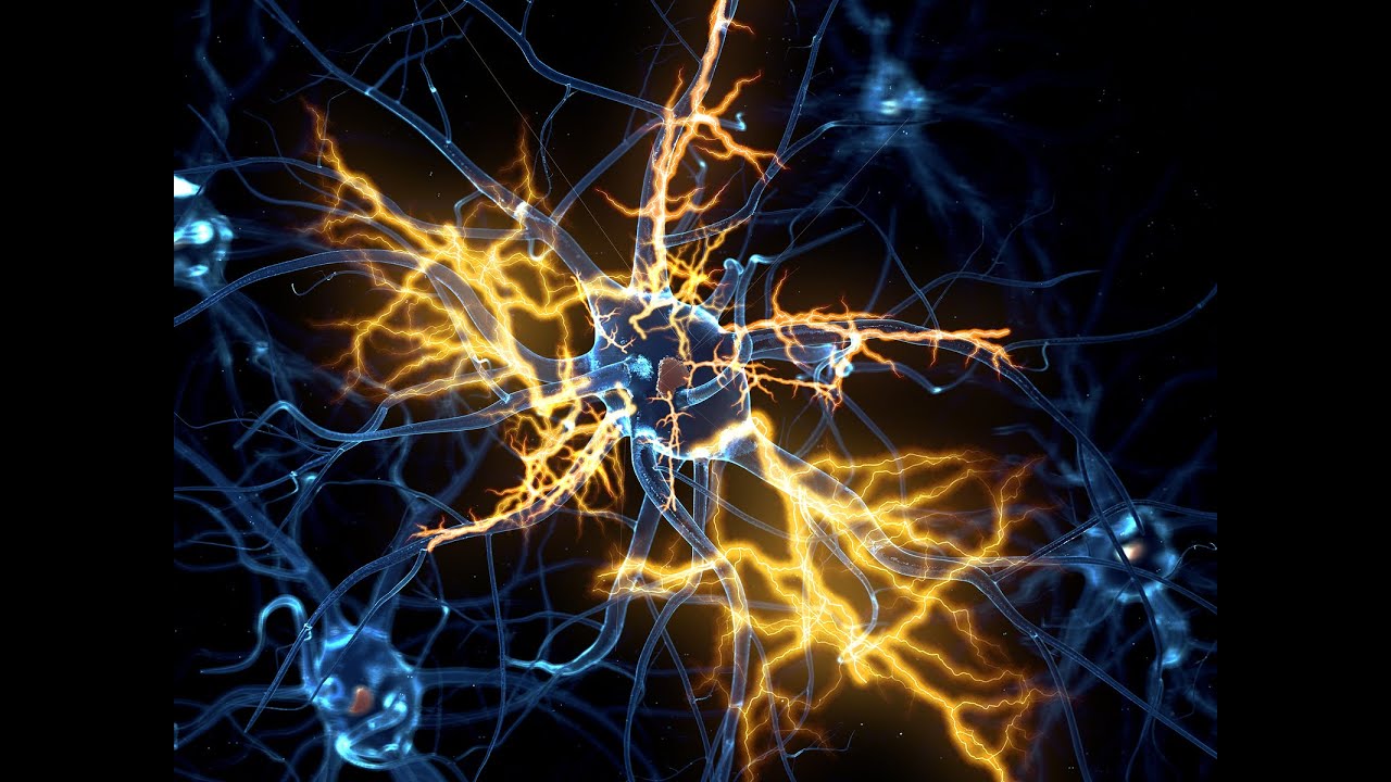 PD: Motor Neurone Disease (MND) 101